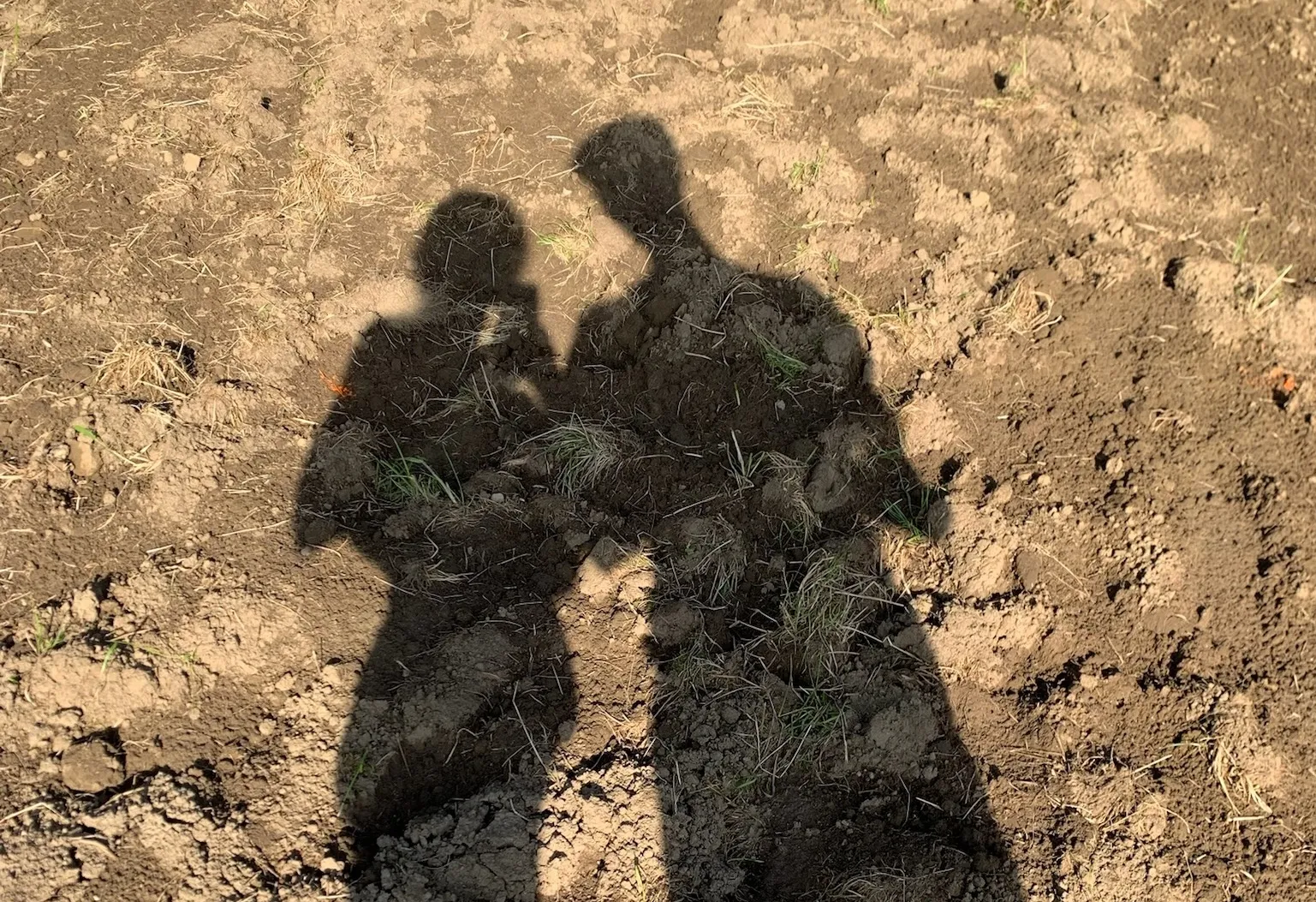 Silhouette von zwei Personen bei der Arbeit auf dem Teefeld bei Sonnenuntergang